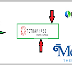 TetraPhase Pharmaceuticals (NASDAQ: TTPH) Acquisition